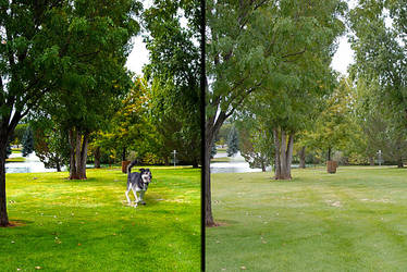 Park-1 Before-After