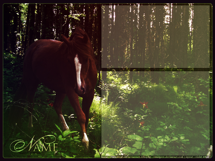 forest horse