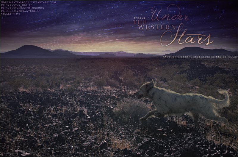 under the western stars