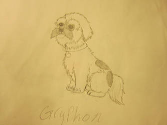 gryphon