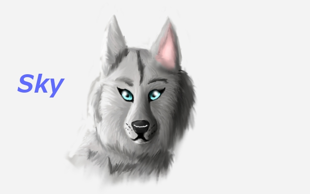 Sky the wolf