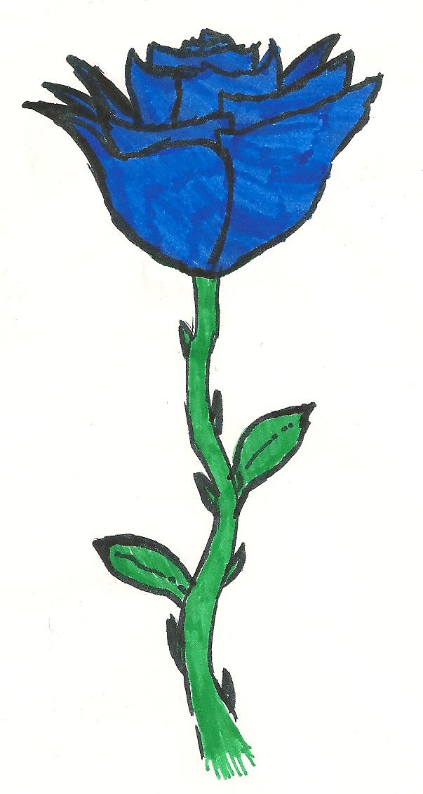 Blue Rose