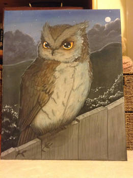 Owl Canvas