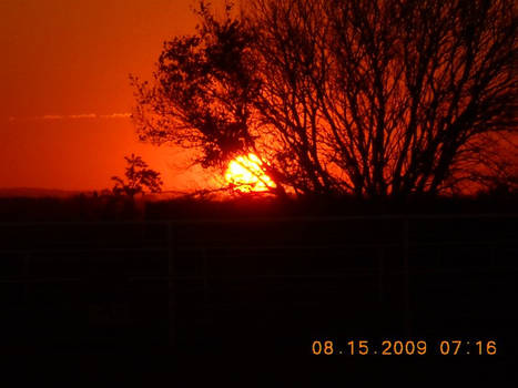 Kansas sunset