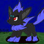 Shadow zorua XD015