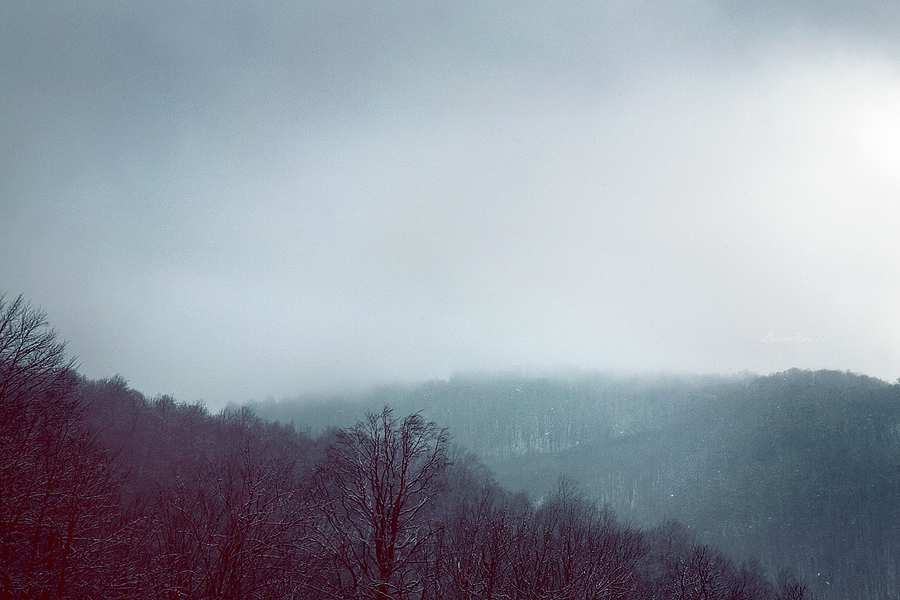 Mystic mountains