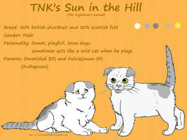 TNK's Sun in the Hill