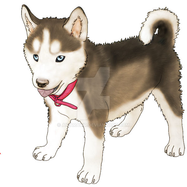 Husky Deviantart Husky Puppy commission for Emmy1320 by AixaRawr on DeviantArt