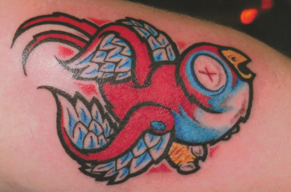 Bird