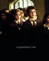 Hermione and Harry