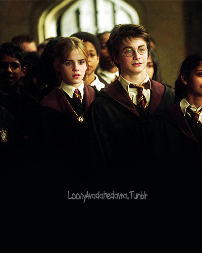 Hermione and Harry