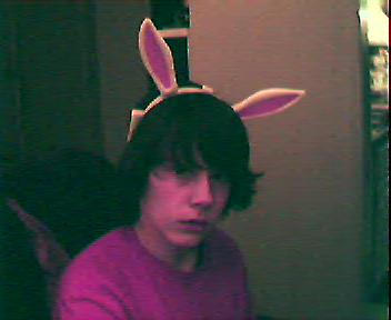 Confused Bunny Rabbit by bludstainedrose on DeviantArt