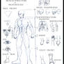 Reference - Male Body