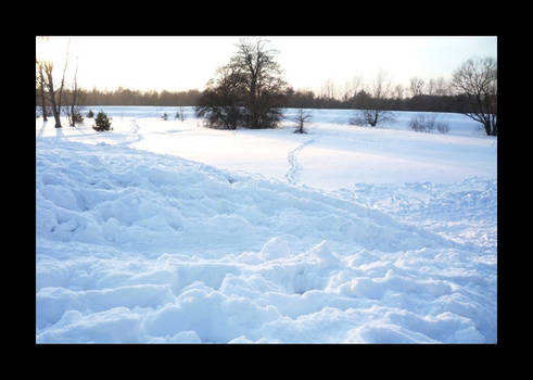 Winter landscape