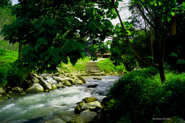 Thai Jungle