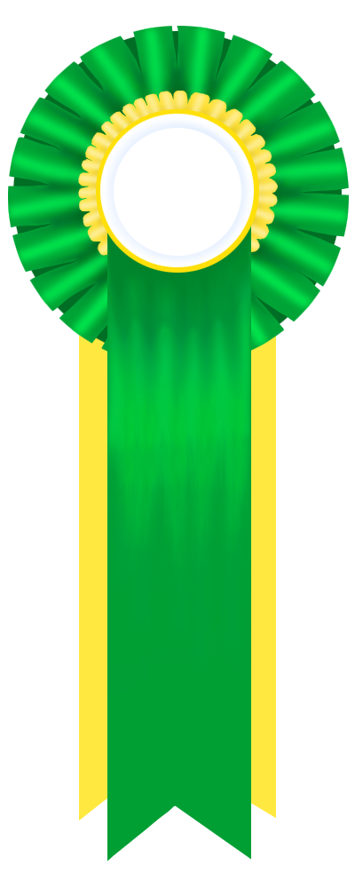 3rd Place Ribbon