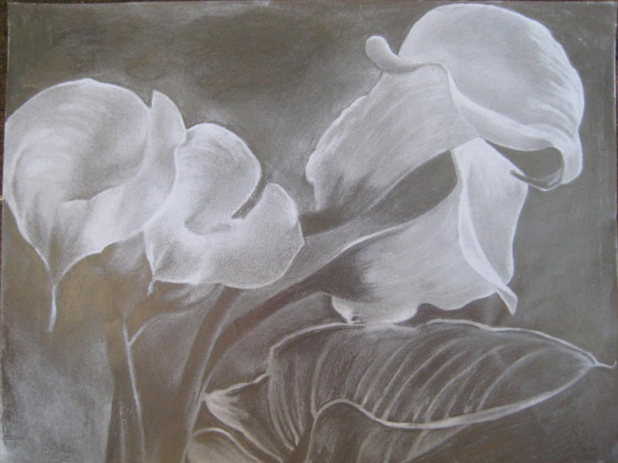 Calla Lilies By Swear by the pencil On DeviantArt calla-lilies-by-swear-by-the-pencil-on-deviantart