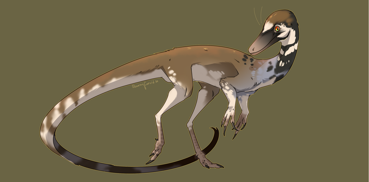 A Compy Compy by StarryCorvid on DeviantArt