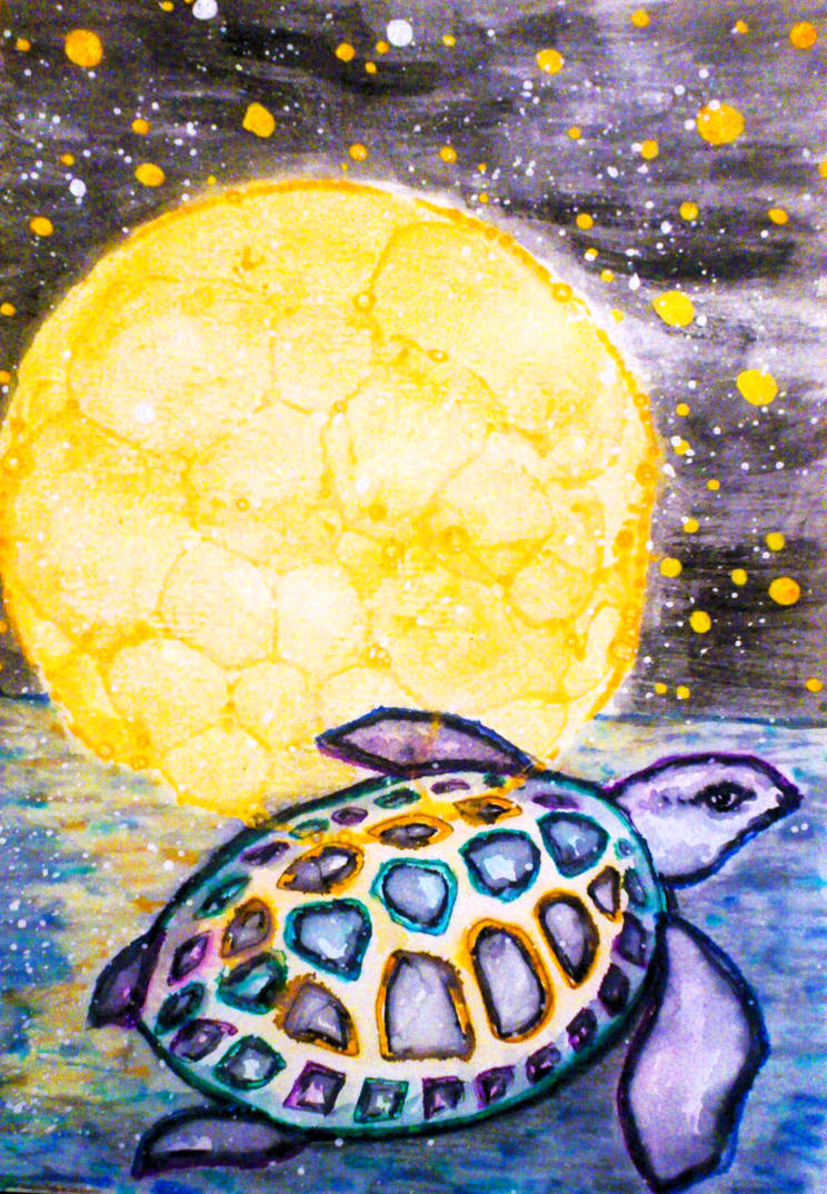 Turtle with Moon by Samudra208 on DeviantArt
