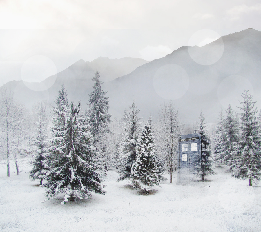 Le Tardis in the Snowy Forest