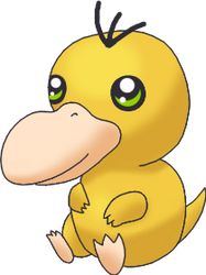 Psyduck