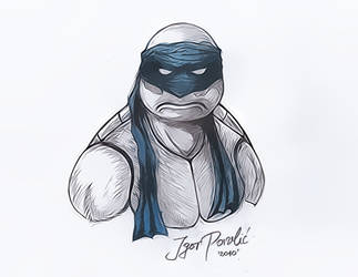 TMNT - Leonardo_t