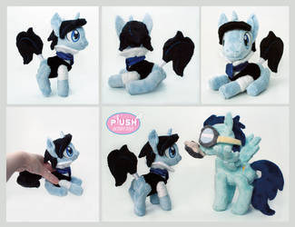 Pocket Poseable Pony OC Rochester Soarin Plushies