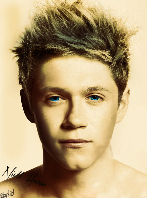 Niall horan picture edit