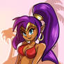 Shantae vi