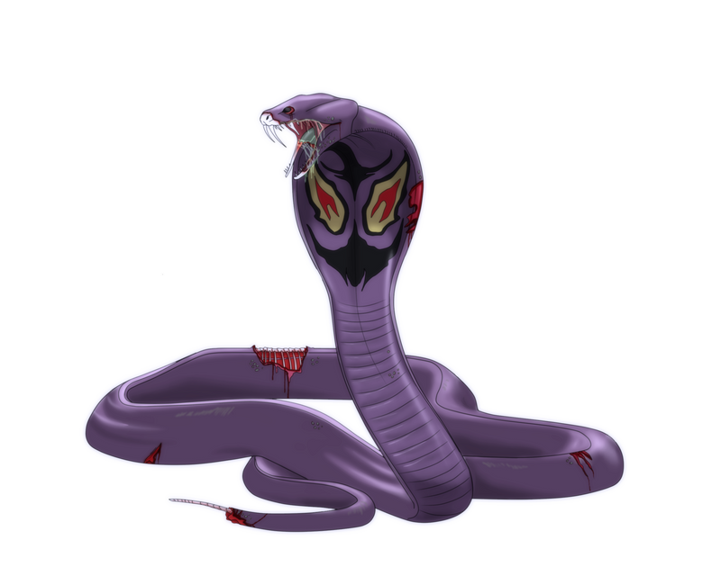 Arbok 024