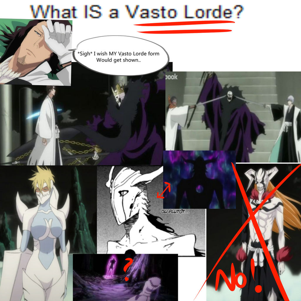 Vasto Lorde Ichigo, Wiki