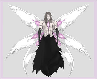 Aizen Battle Form