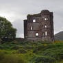 Among the Irish Ruins