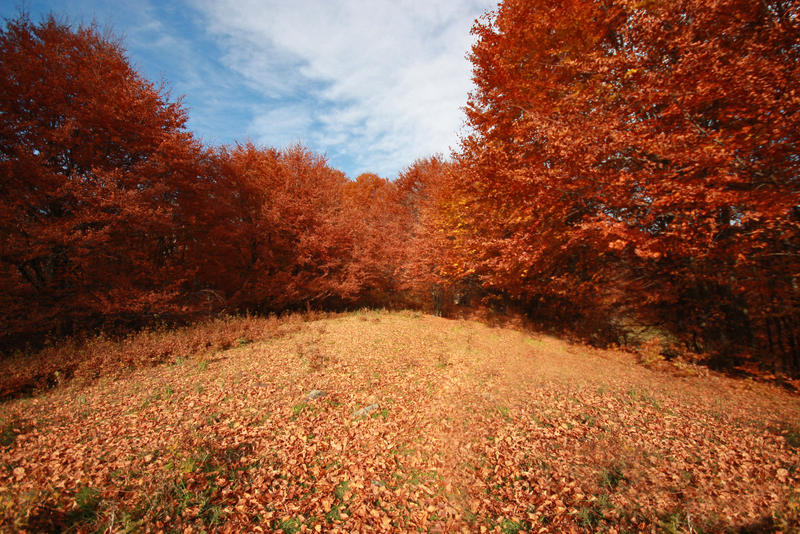 Autumn is here