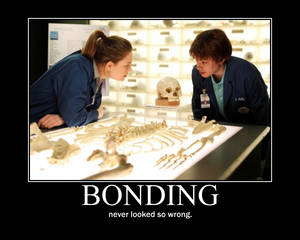 Bones Bonding