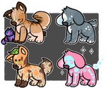 Puppy adopts | Open 3/4
