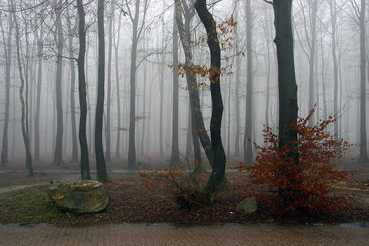 Rainy day in Vaals