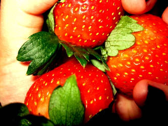 Strawberries I