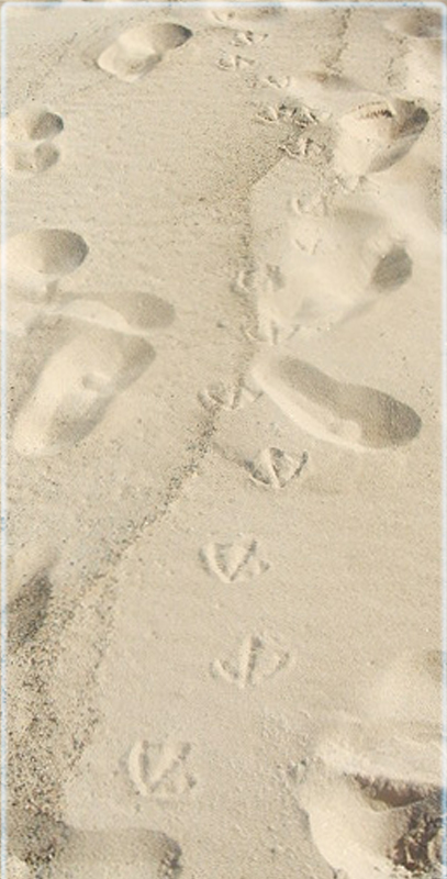 Footsteps