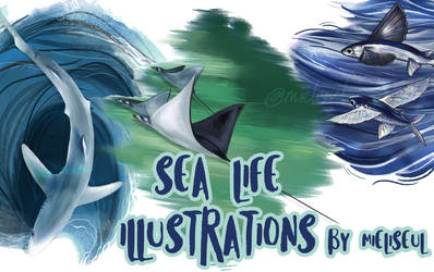 Sea Life Commissions.