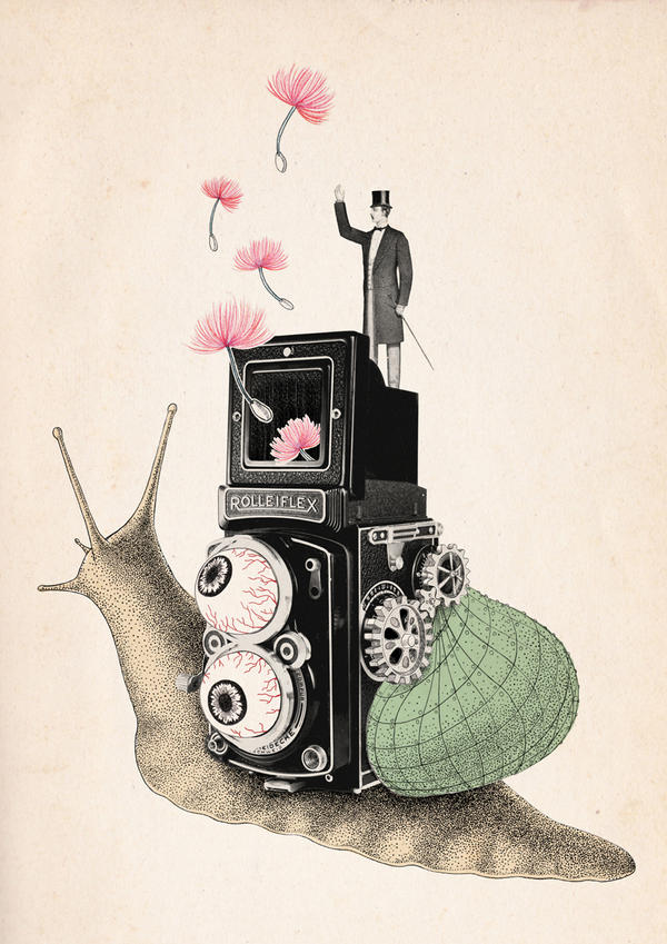 Nostalgia - snail camera by BeibeiNie on DeviantArt