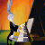 Fancy Pianist Bugs