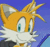 Tails Wink
