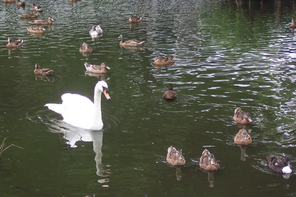 Mirror Lake