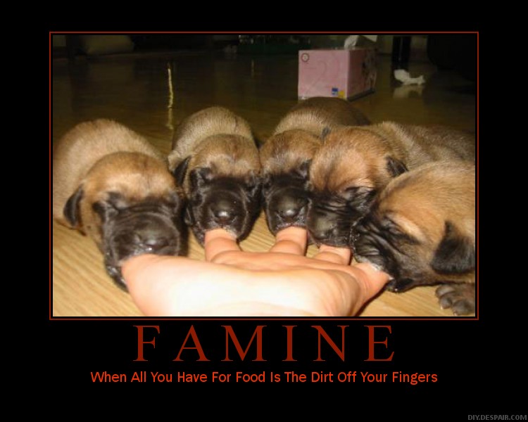 Motivational poster 35 famine