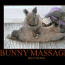 motivational poster 37 bunny