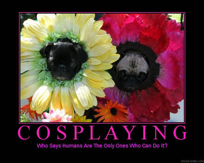 motivational poster 40 cosplay