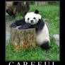 Motivational picture 58 panda