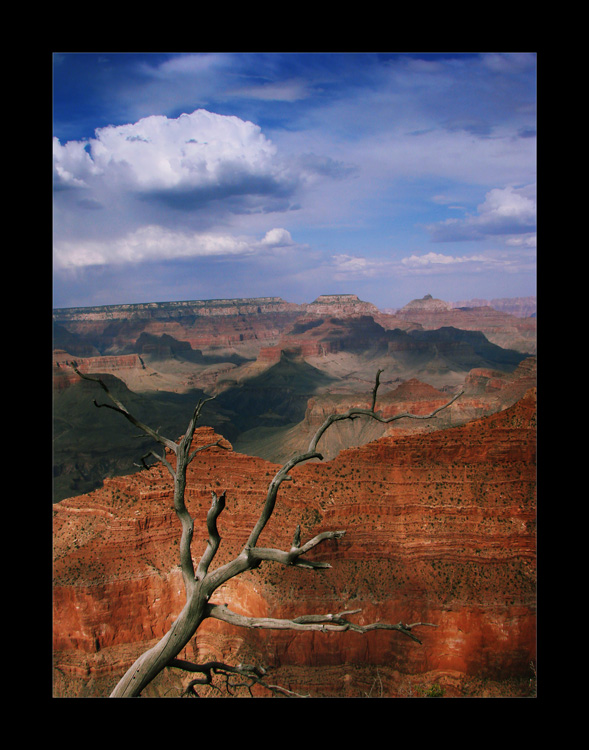 Grand Canyon