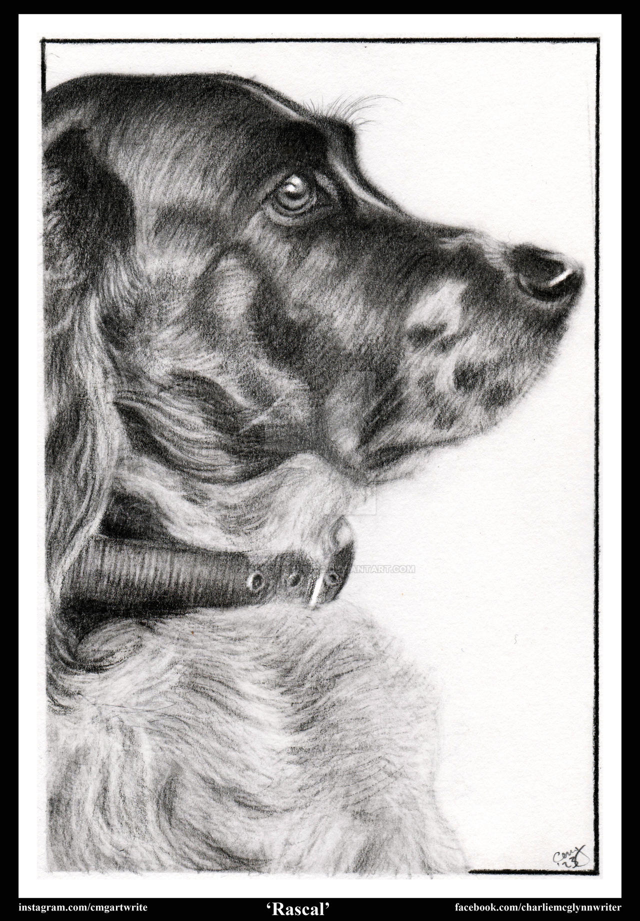 Illustrator Rascal Rascal by CarlosOscuroDC on DeviantArt